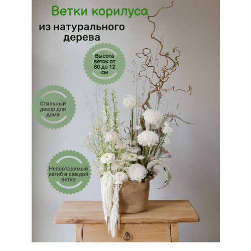 фото Сухоцветы для декора, корилус (орешник), набор декоративных веток для дома интерьера 3 шт, от 80 см 4 сезона