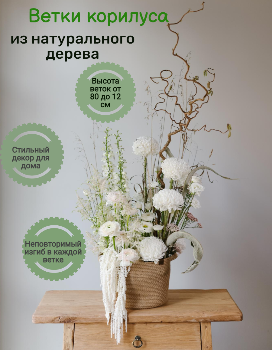 Сухоцветы для декора, корилус (орешник), набор декоративных веток для дома интерьера 2 шт, от 80 см