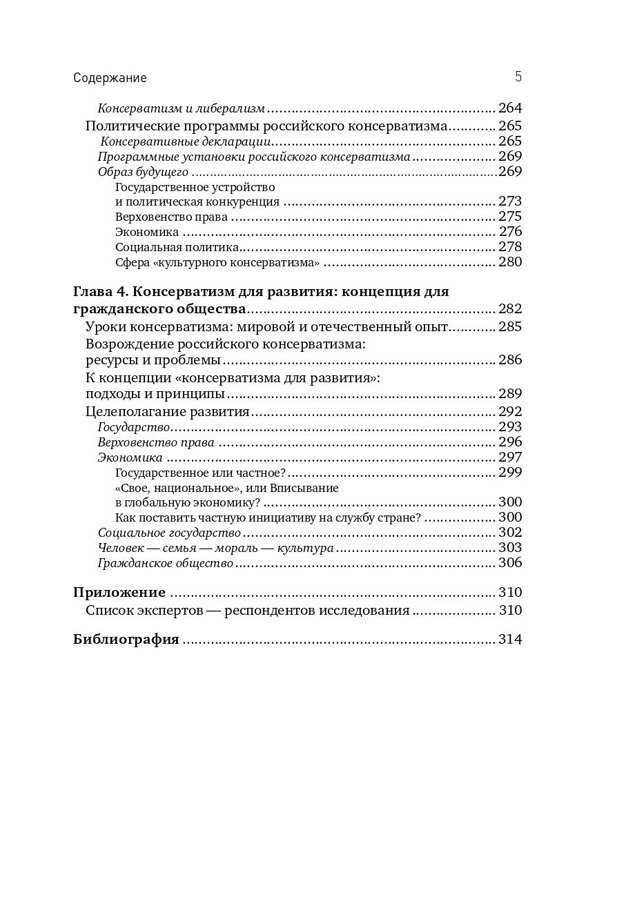 Консерватизм и развитие. Основы общественного согласия - фото №11