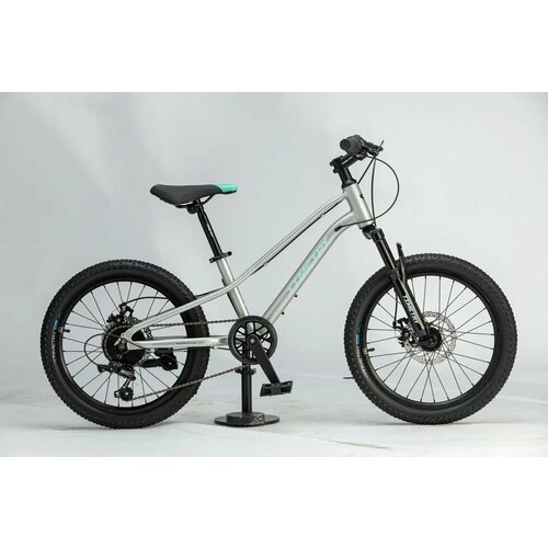 Велосипед Time Try ТT2777s 20 Алюминиевая рама 105 Взрослый Подростковый Унисекс серебристый 2090000₽