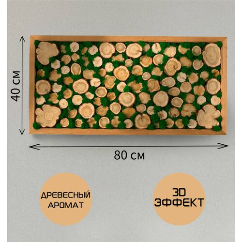 Панно из мха и можжевельника интерьерное 80х40 см