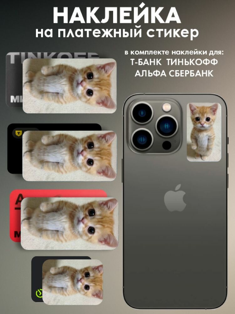 Наклейки на платежный стикер Кот