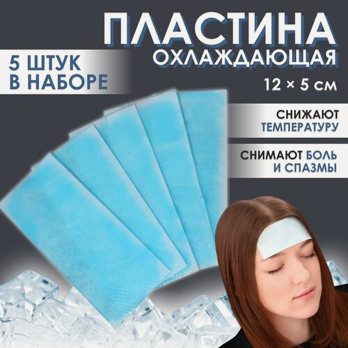 Изображение товара Пластина охлаждающая ONLITOP, набор - 5 шт, 12×5 см, цвет синий