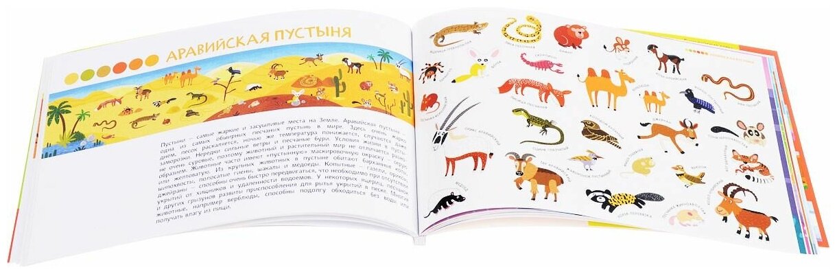 Удивительный мир животных. 250 многоразовых наклеек - фото №5