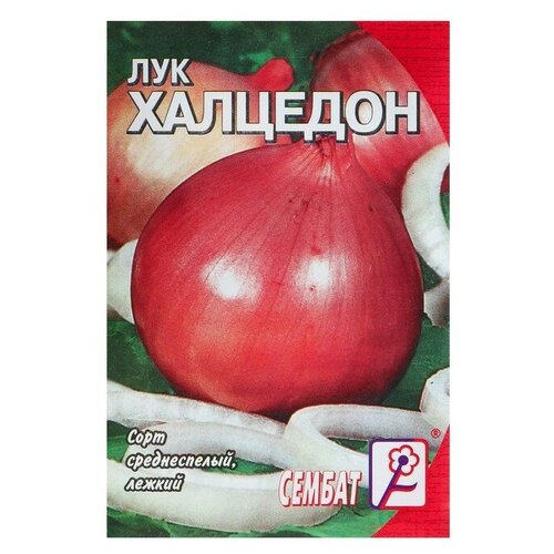 Семена Лук репчатый Халцедон, 0,5 г семена лук репчатый халцедон 0 5 г 5 упак