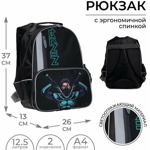 Рюкзак школьный, 37 х 26 х 13 см, эргономичная спинка, Calligrata ОРТ 