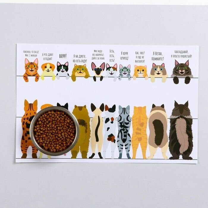 Комплект: Миска + коврик для кошек и собак - фотография № 3