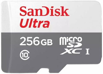 Карта памяти Sandisk micro SDXC 256Gb Ultra Class 10 UHS-I (100/10 MB/s)