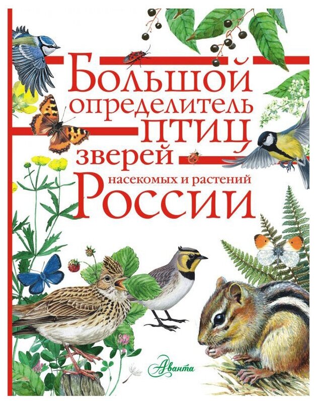 Большой определитель птиц зверей насекомых и растений России Книга Волцит ПМ 0+