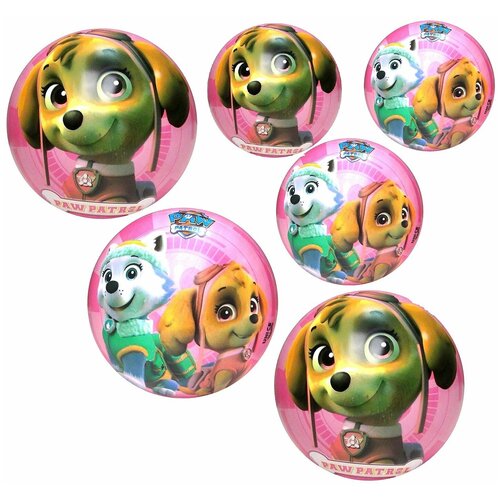 Мяч Unice Щенячий патруль Девочки 15 см в ассортименте