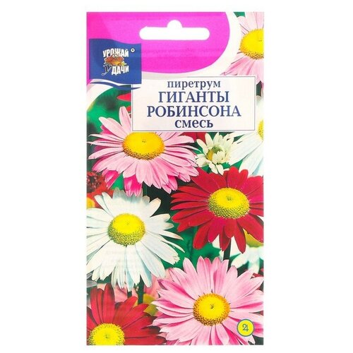 Семена цветов Пиретрум Гиганты Робинсона, Смесь, 0,1 г (5 шт)