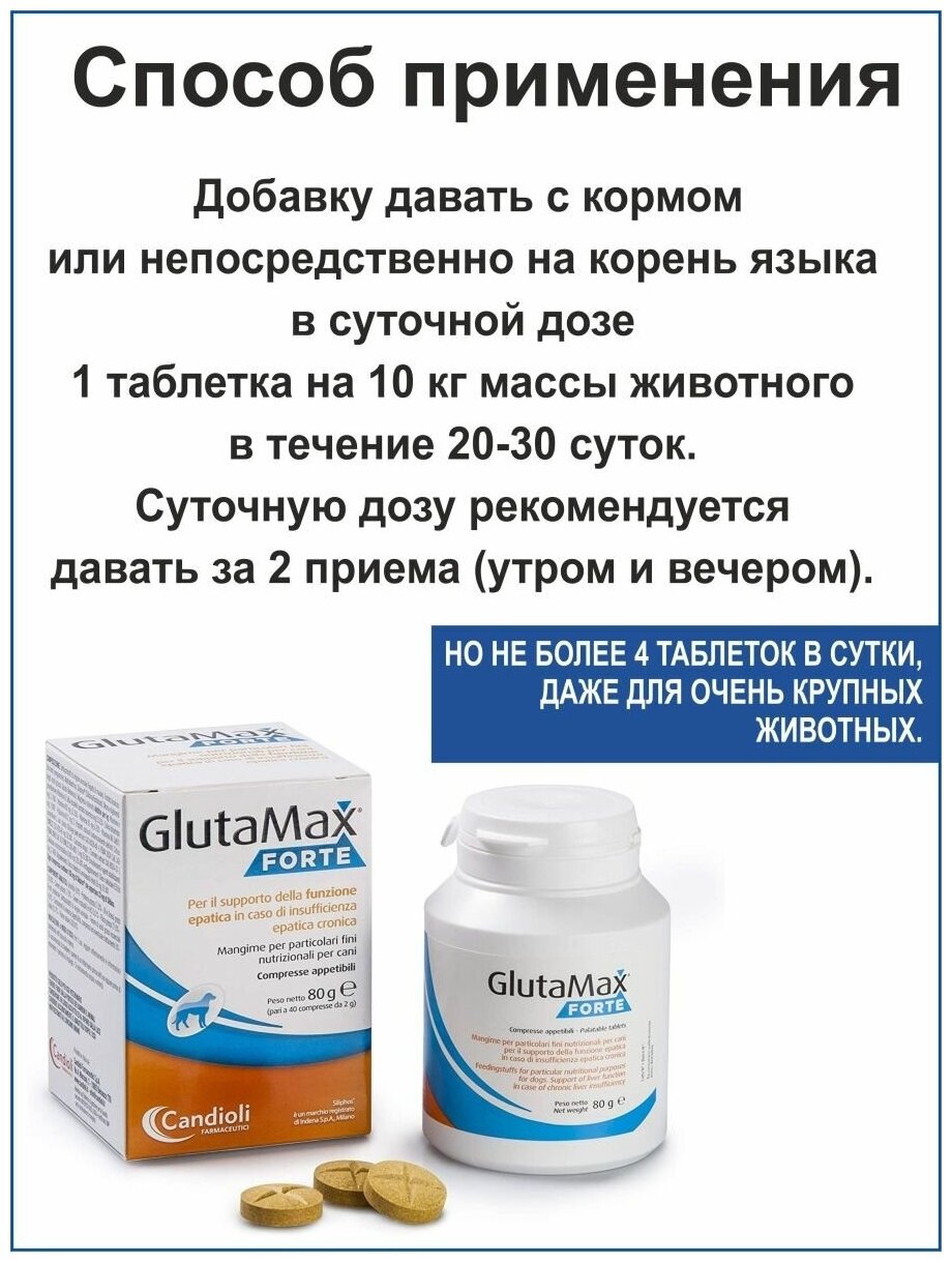 Candioli Глютамакс Кормовая добавка для нормализации работы печени у кошек и собак, 40 таблеток - фото №7