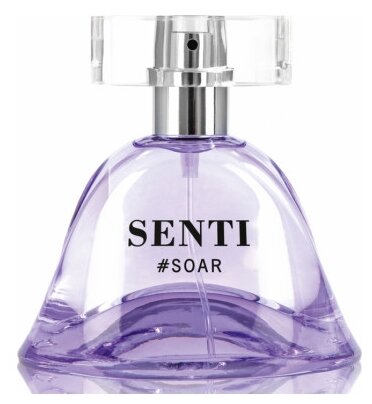 Dilis Parfum парфюмерная вода Senti Soar