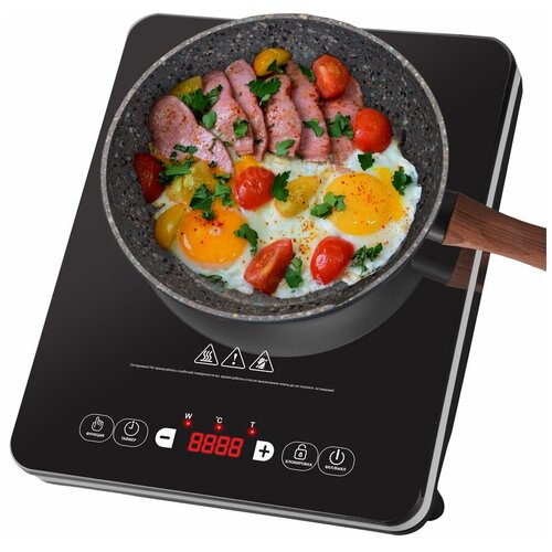 Индукционная плита ENDEVER IP-53 425000₽