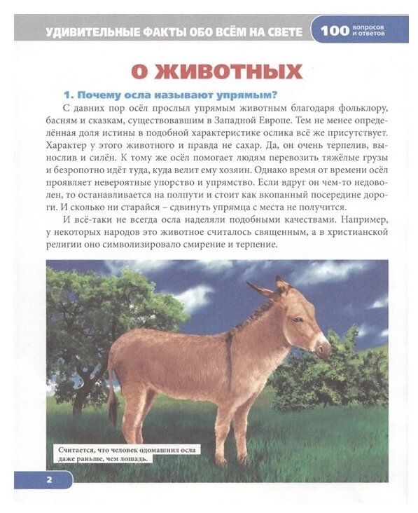 Энциклопедия. Удивительные факты обо всем на свете - фото №6