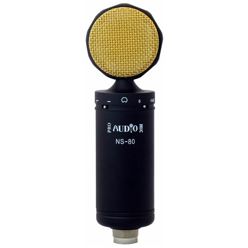 Микрофон студийный конденсаторный ProAudio NS-80