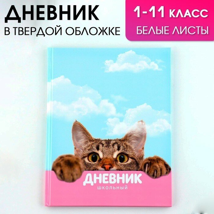 ArtFox STUDY Дневник школьный 1-11 класс универсальный «Котик», твердая обложка 7БЦ, глянцевая ламинация, 40 листов.