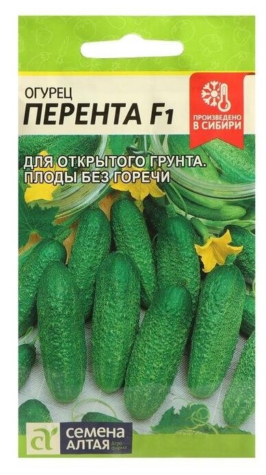 Семена Огурец 