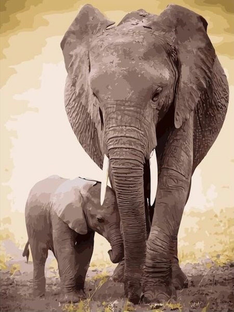 Картина по номерам Слониха и слоненок 40х50 см АртТойс