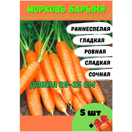 Семена моркови сорт Барыня 5 шт. / морковка семена агрофирма аэлита сеялка плюс морковь барыня 4 г