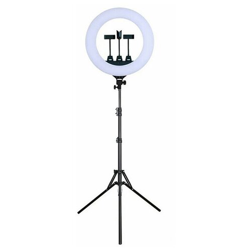 Кольцевая селфи лампа ZB-F488, 3 держателя для смартфона, диаметр 55 см, усиленный штатив 1.8 м лампа для селфи с гибким держателем настольная кольцевая led лампа с прищепкой