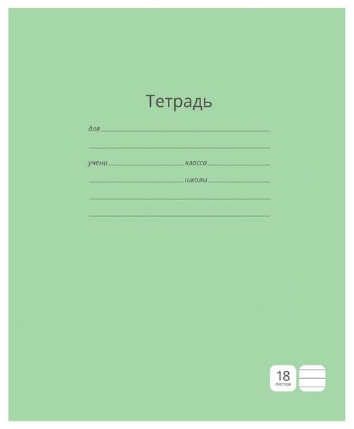 ArtSpace Упаковка тетрадей Однотонная, Т18л_3665, 20 шт., линейка, 18 л., 20 шт., зеленый