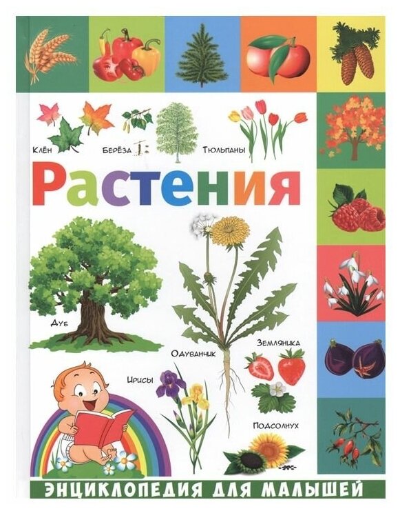 Растения