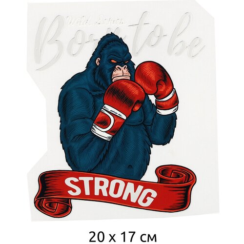 Термотрансфер арт. TBY.1323 Born To Be Strong 20х17см, уп.10шт