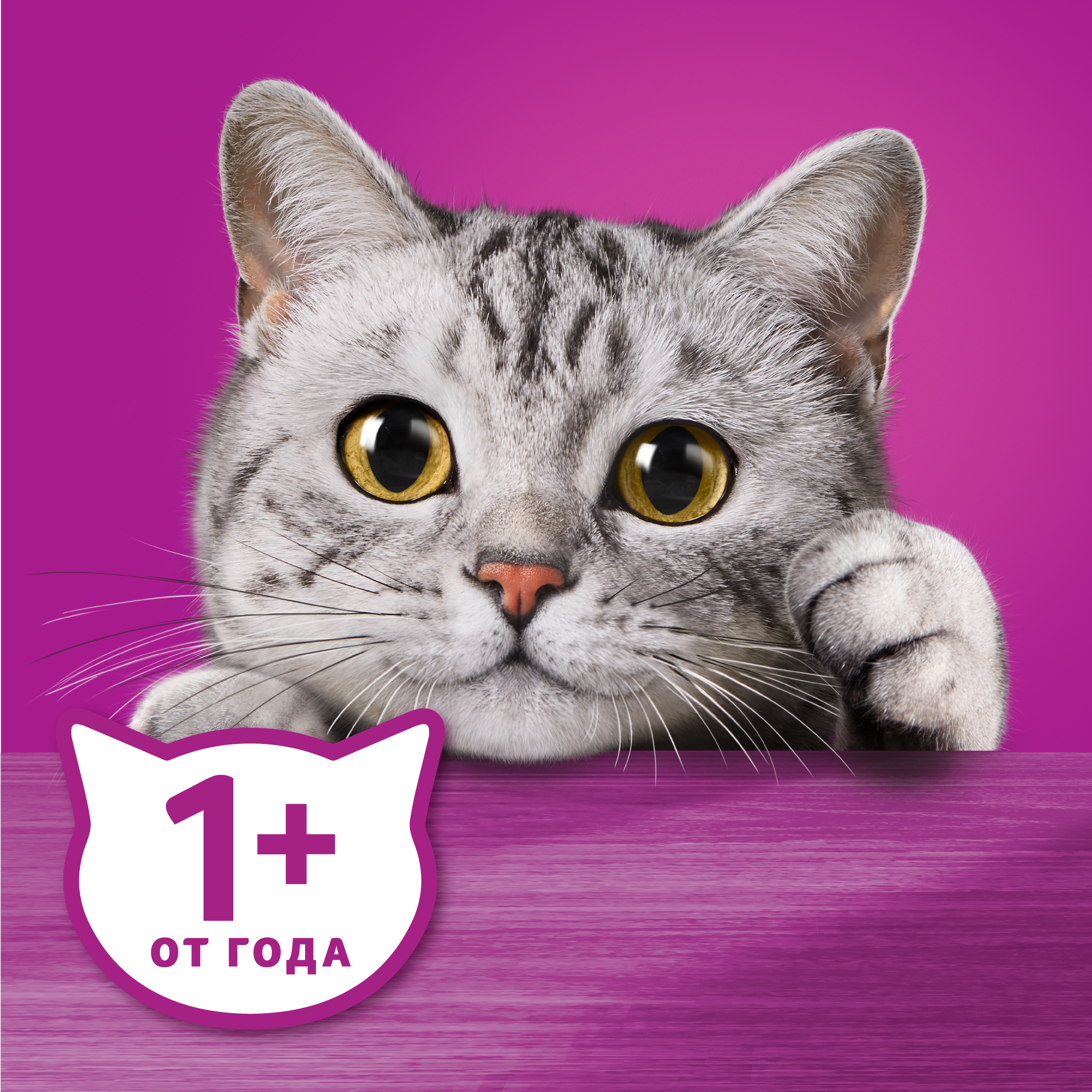 Влажный корм WHISKAS® для кошек, паштет с говядиной и печенью, 28 шт по 75г шоубокс - фотография № 11