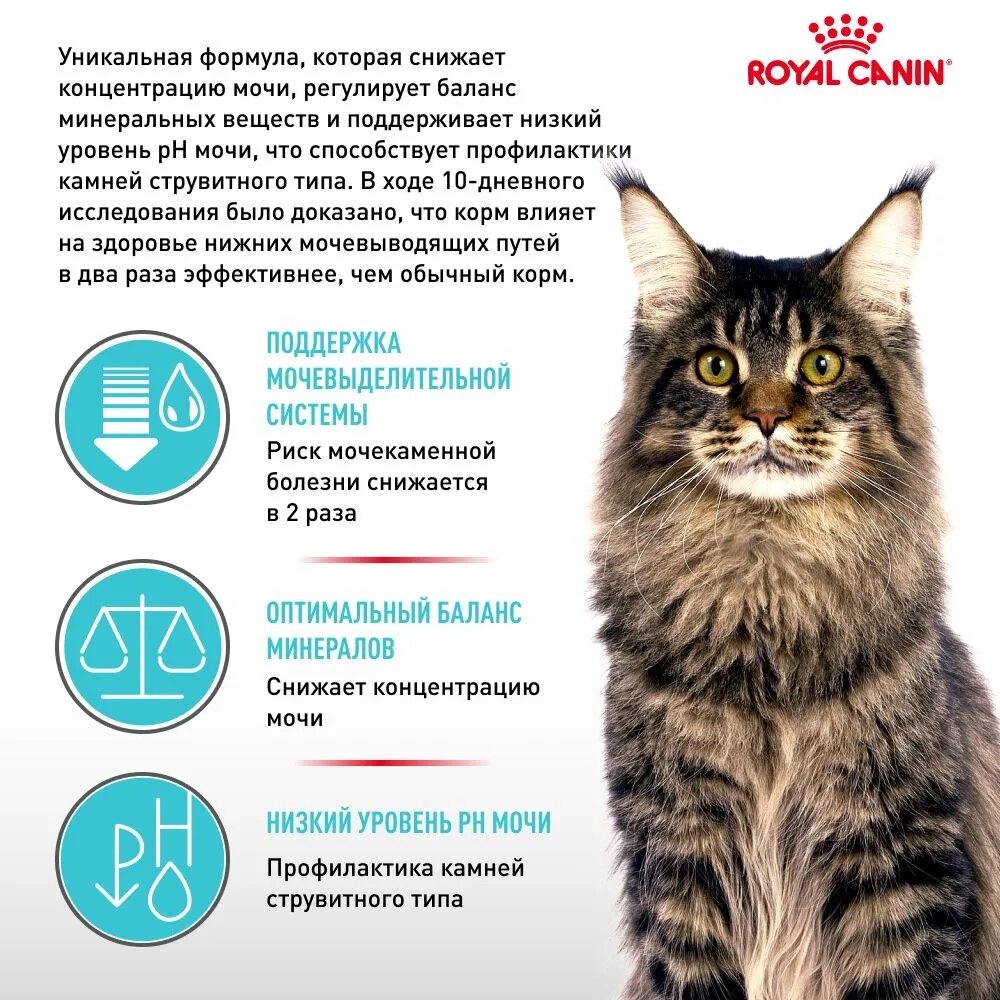 Royal Canin Urinary сухой корм для кошек с профилактикой МКБ 400гр - фотография № 6