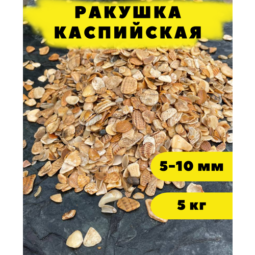 Ракушка Каспийская, 5-10 мм, 5 кг галька для аквариума каспийская ракушка 10 20мм 11кг