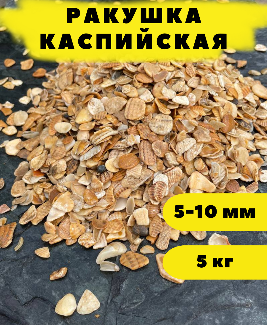 Ракушка Каспийская, 5-10 мм, 5 кг