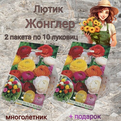 Лютики смесь Жонглер 2 пакета по 10 луковиц