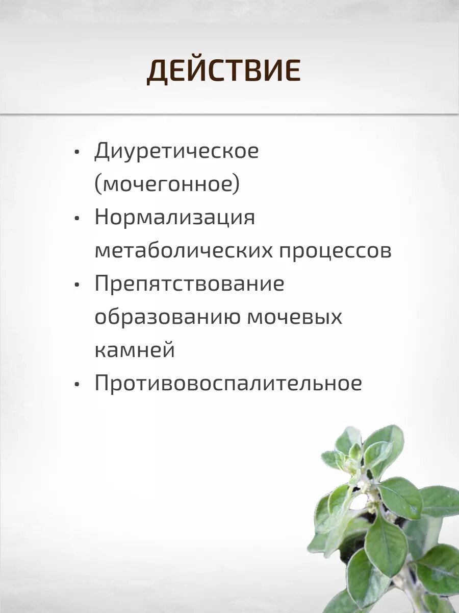 Урологические Лекарственные Травы Пол пала трава 30 г эрва шерстистая Целебные травы Фиточай