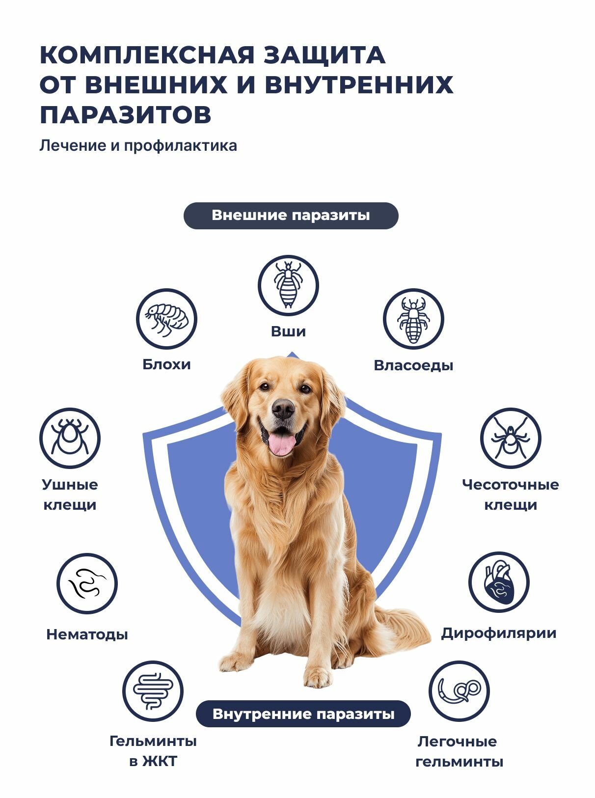 Селафорт Капли на холку Для собак от 2,6 до 5кг 1шт х 30мг/0,25мл От блох клещей гельминтов — фото 1