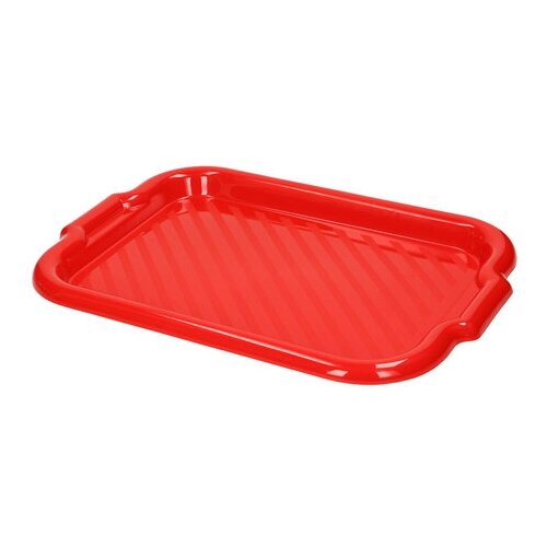 Поднос пластмассовый Радиан, 484х322 мм