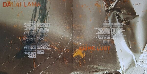 Rammstein - Reise, Reise Виниловая пластинка Universal Music - фото №11