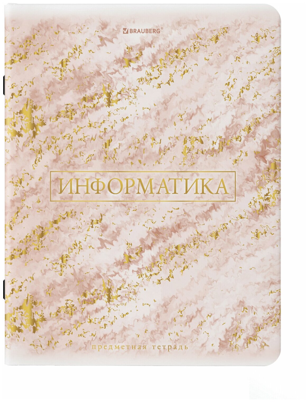 Тетрадь предметная "PASTEL" 48 л, SoftTouch, фольга, информатика, клетка, BRAUBERG, 404315 (упаковка 10 шт.)