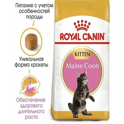 Royal Canin для кошек и котят Киттен Мейн кун 4кг, 2 уп