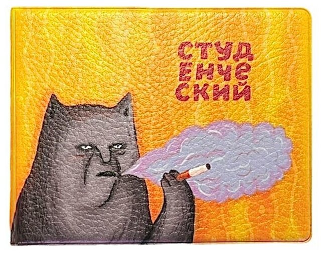 Обложка на студенческий «Котик с сижкой» 