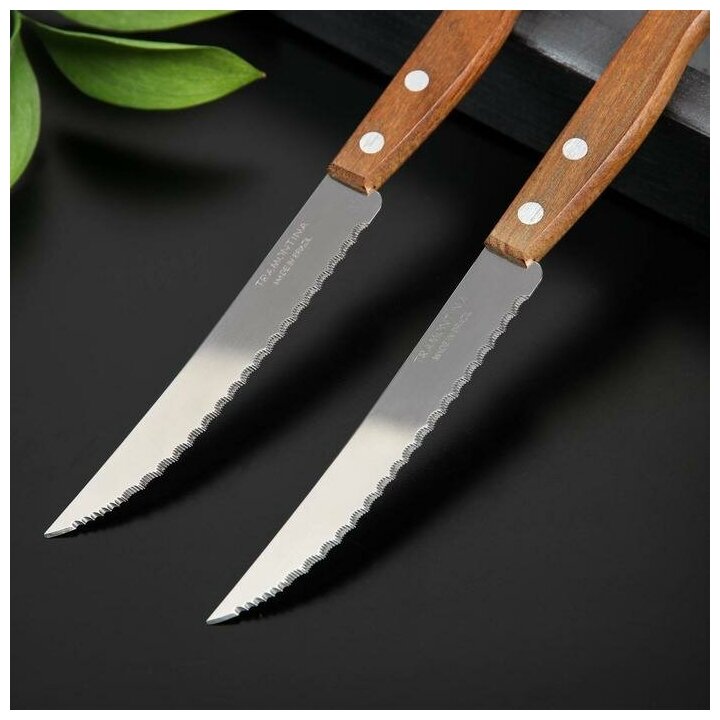 Нож TRAMONTINA Tradicional для мяса, 12,5 см, 2 шт. - фотография № 2