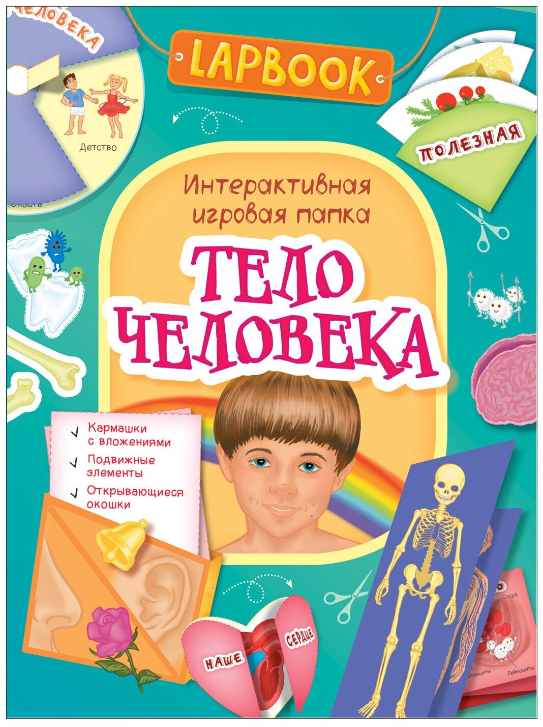 Lapbook. Тело человека. Интерактивная игровая папка - фото №6