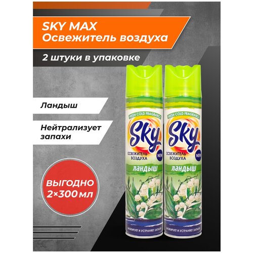 Освежитель воздуха SKY MAX Ландыш 2 шт.