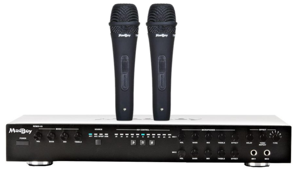 Madboy REMIX-33 комплект караоке онлайн + 2 проводных микрофона TUBE-022