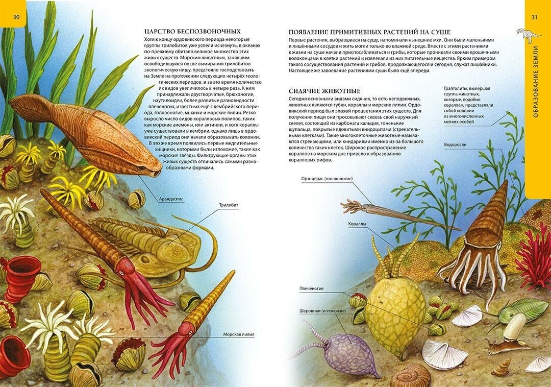 Большая детская энциклопедия динозавров - фото №4