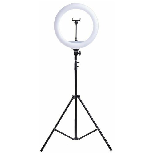 URM Кольцевая светодиодная лампа световое кольцо 26 см led 3 цвета с напольным штативом и селфи-пультом 102500₽