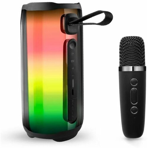 Портативная караоке Bluetooth-колонка PLUSE5 250000₽