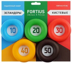 Эспандер кистевой 5 шт. Fortius 5031480 21 х 24 см голубой/желтый/зеленый/красный/черный