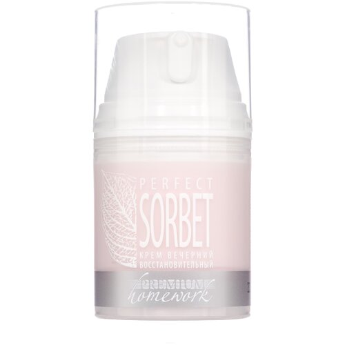 Крем вечерний восстановительный Homework perfect sorbet