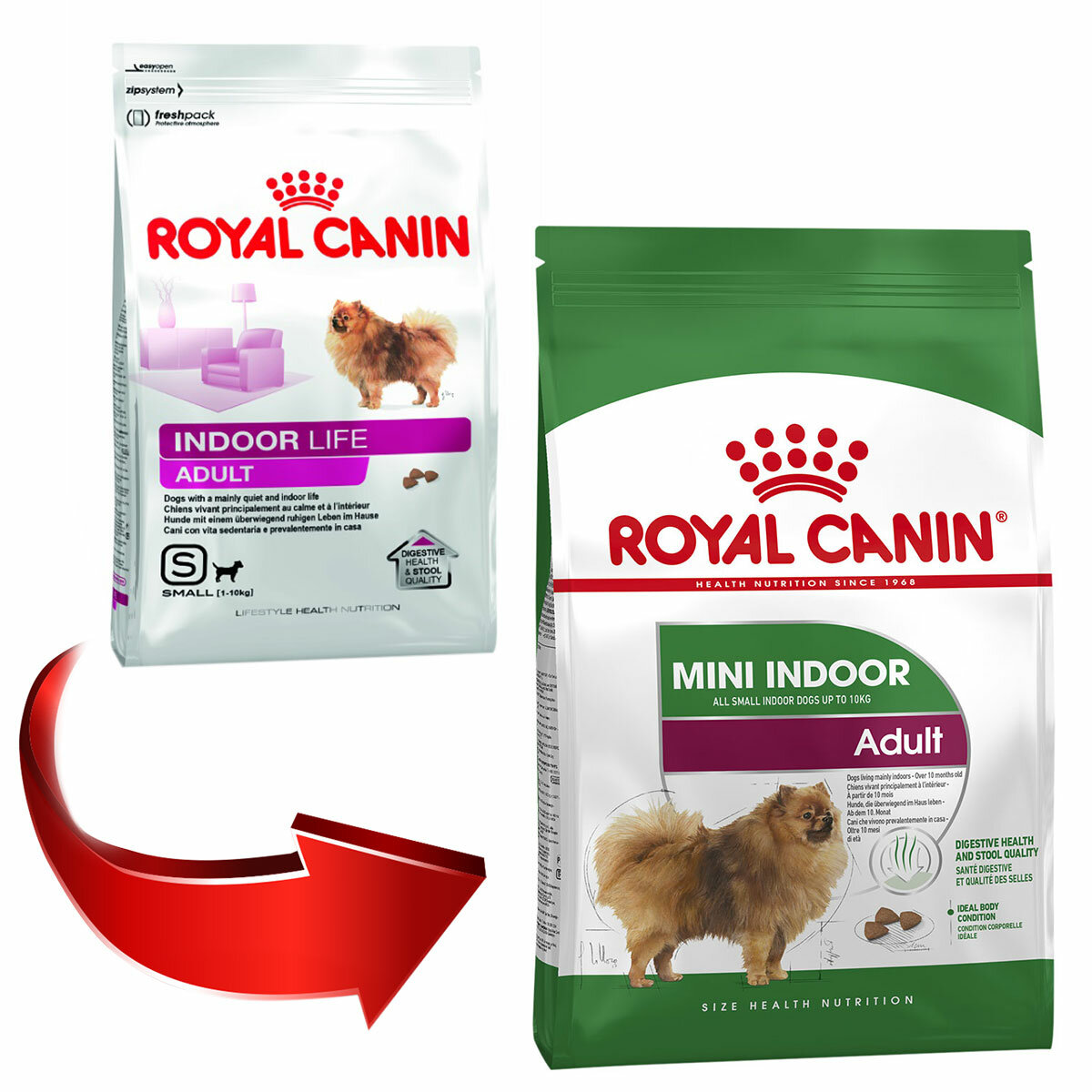 Корм сухой для взрослых собак Royal Canin Mini Indoor Adult (Мини Индор Эдалт) мелких размеров, живущих в помещении, 0,5кг - фотография № 6